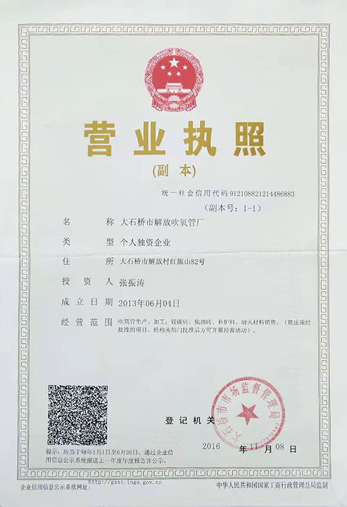 大石桥市解放红杏首页视频厂